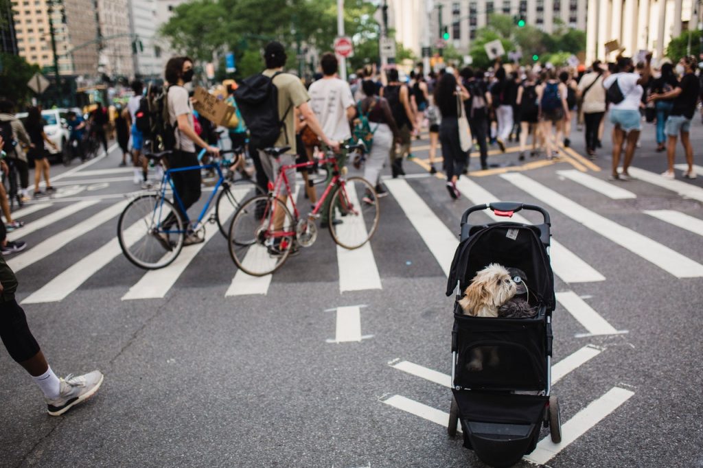 Carreolas para perros