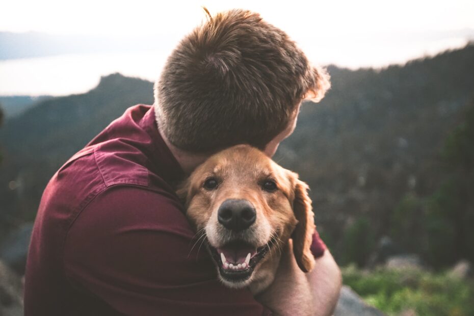 perros ayudan con la depresion