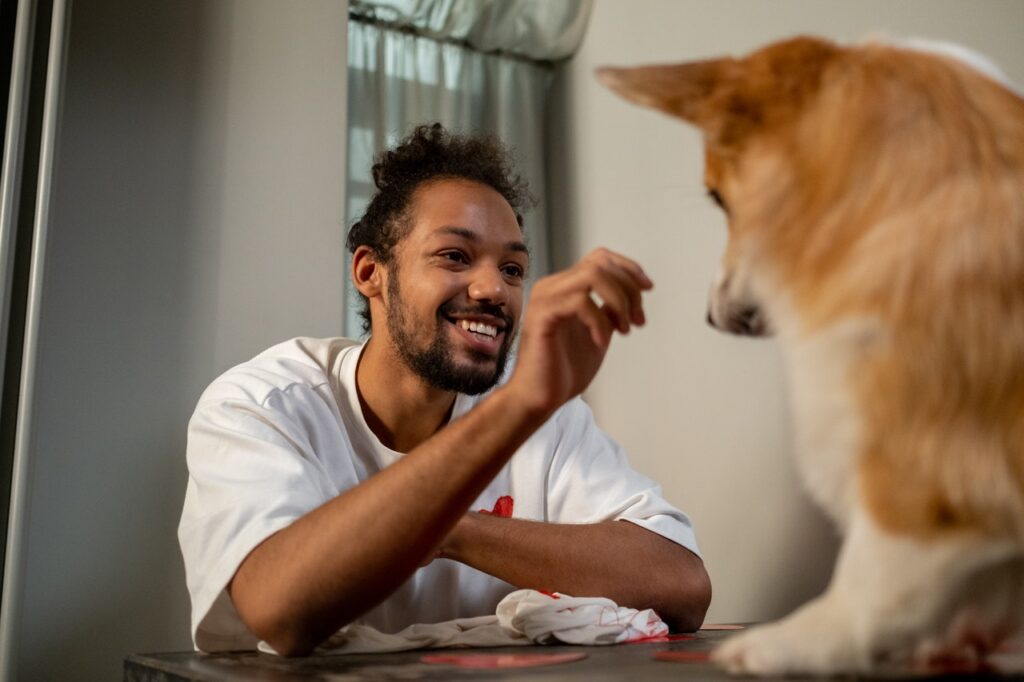 mejores consejos para aliviar el estrés de tu mascota