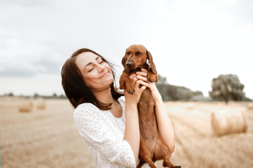 Comida para perros con anemia