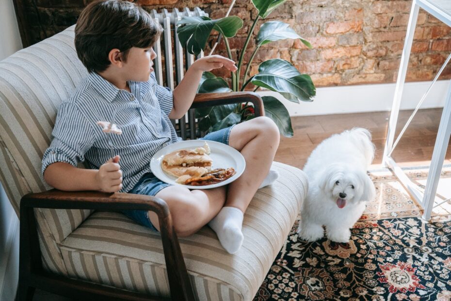 comida casera para perros cachorros