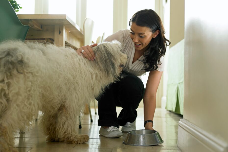 Nutrición Canina