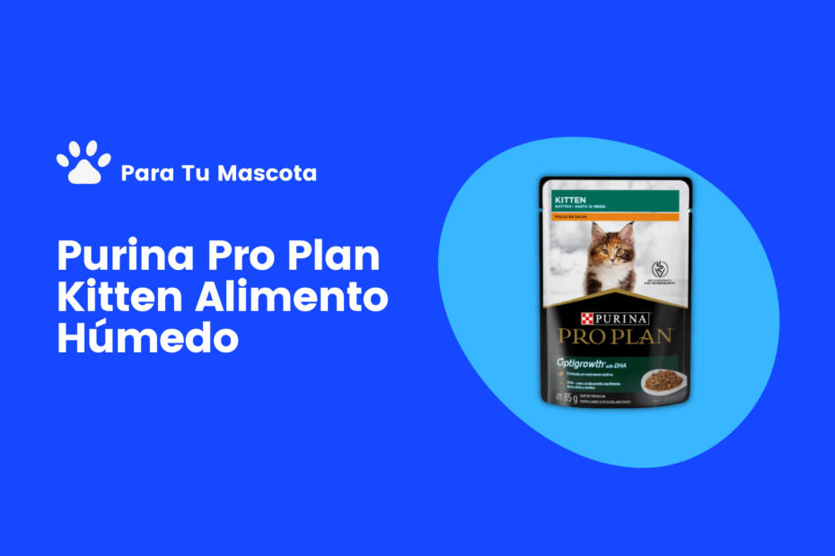 Purina Pro Plan Kitten Alimento Húmedo