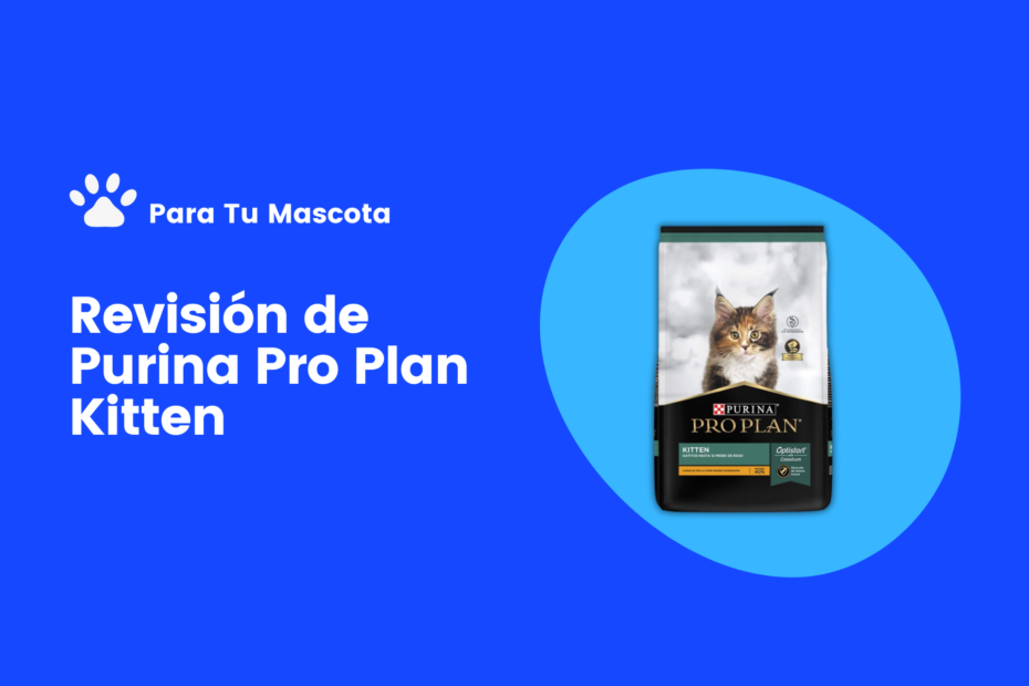 Revisión de Purina Pro Plan Kitten