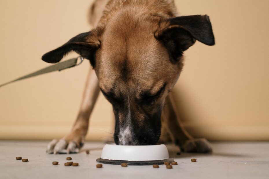 Taste Of The Wild Wetlands Canine