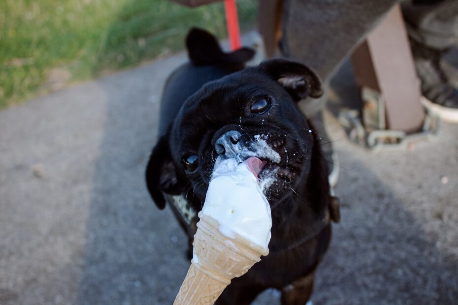 Helados para perros