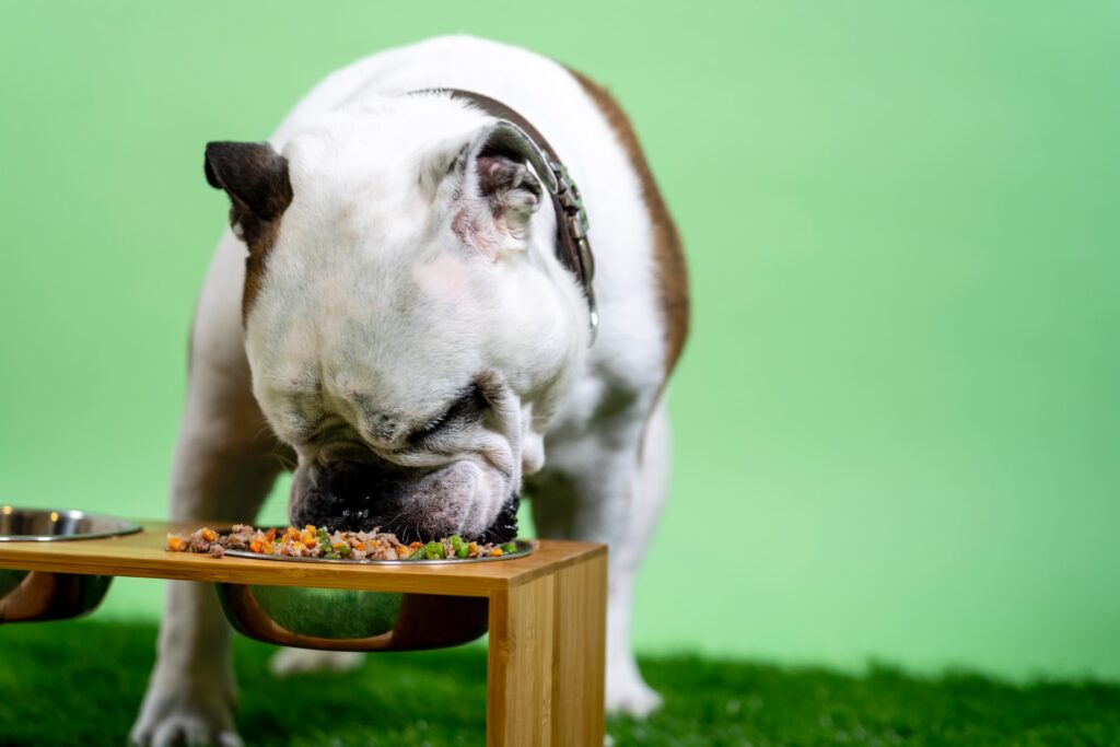 alimento para perros Pure Balance