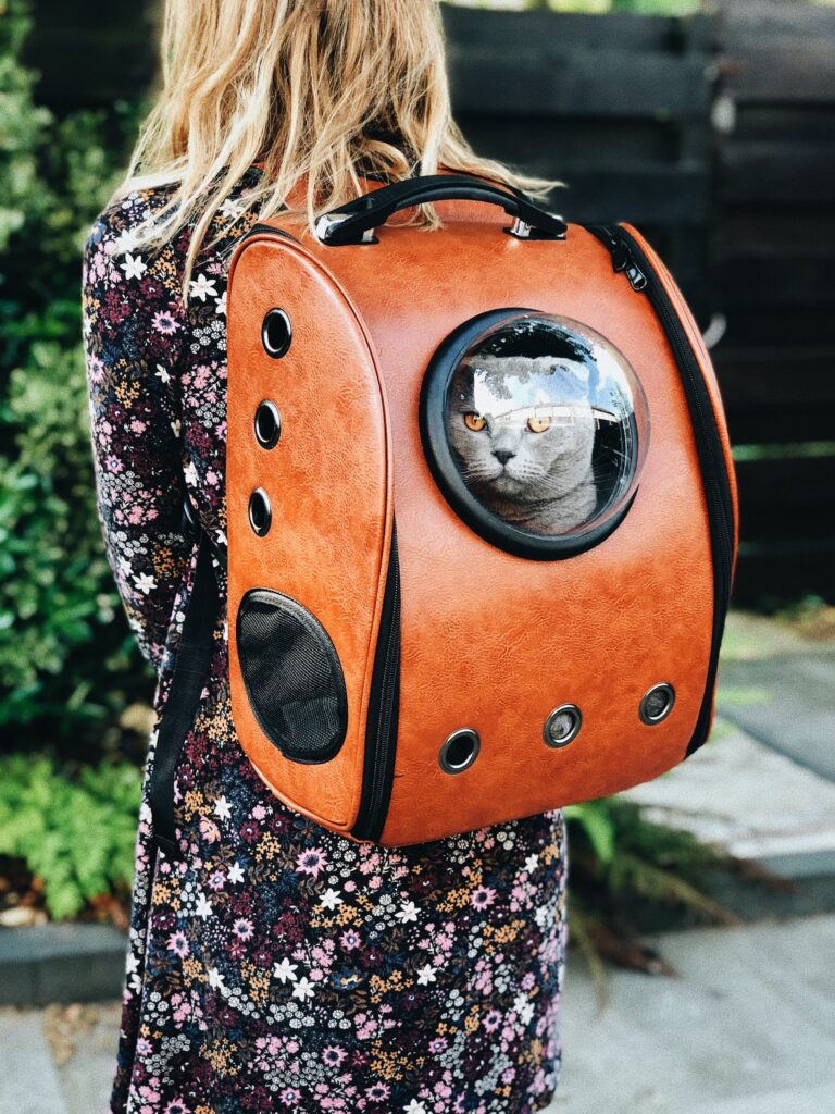transportadora para gatos