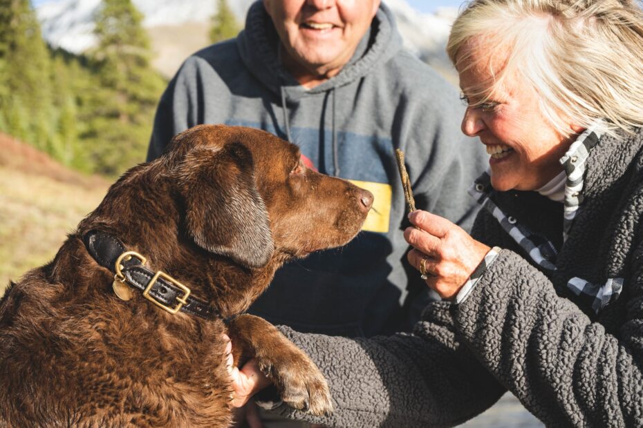 vitaminas para perros adultos