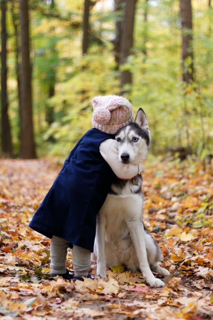 . Cómo enseñar a su perro a ser amable con un bebé