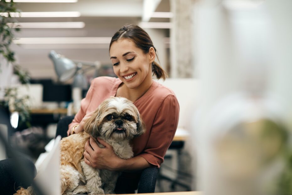 alimentos prohibidos para shih tzu