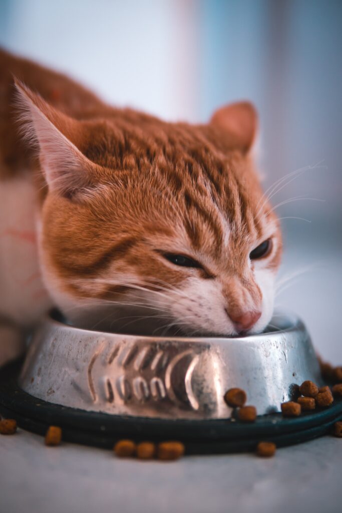  nutra nuggets gatos