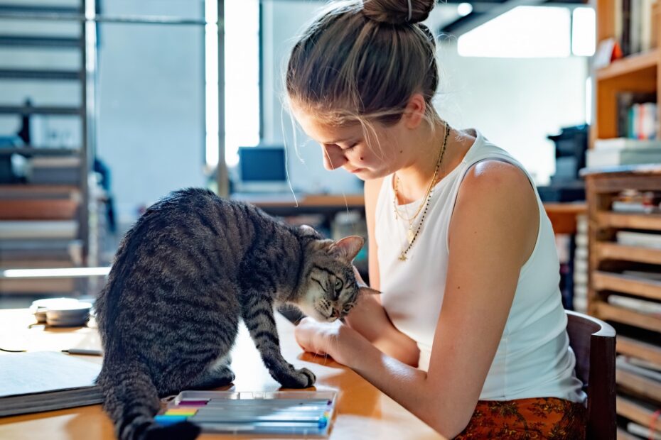 Vigilancia Alimentaria en Gatos