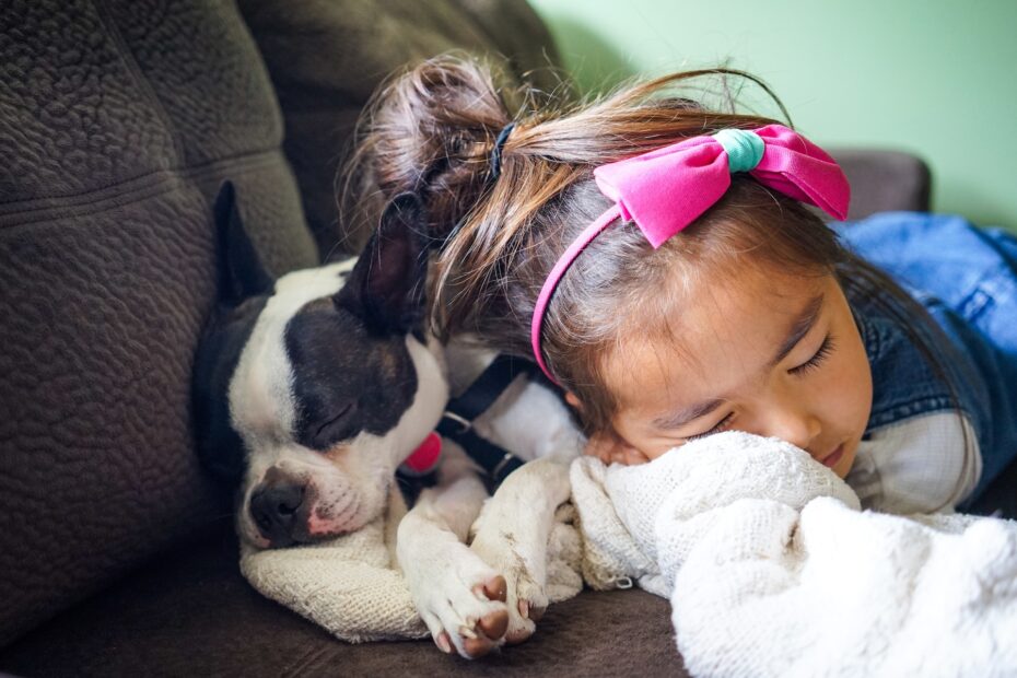 . Cómo enseñar a su perro a ser amable con un bebé