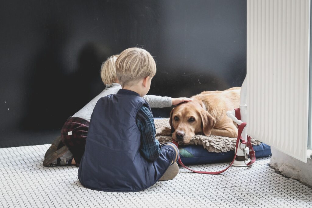 Cómo preparar a su perro para la llegada de un bebé