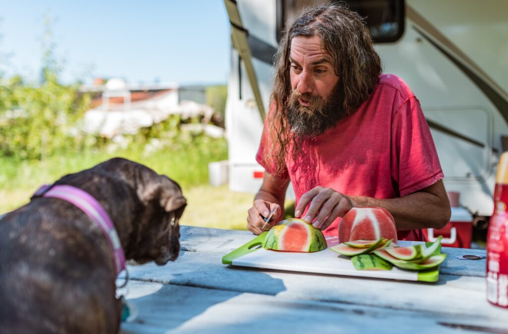  frutas que pueden comer los perros