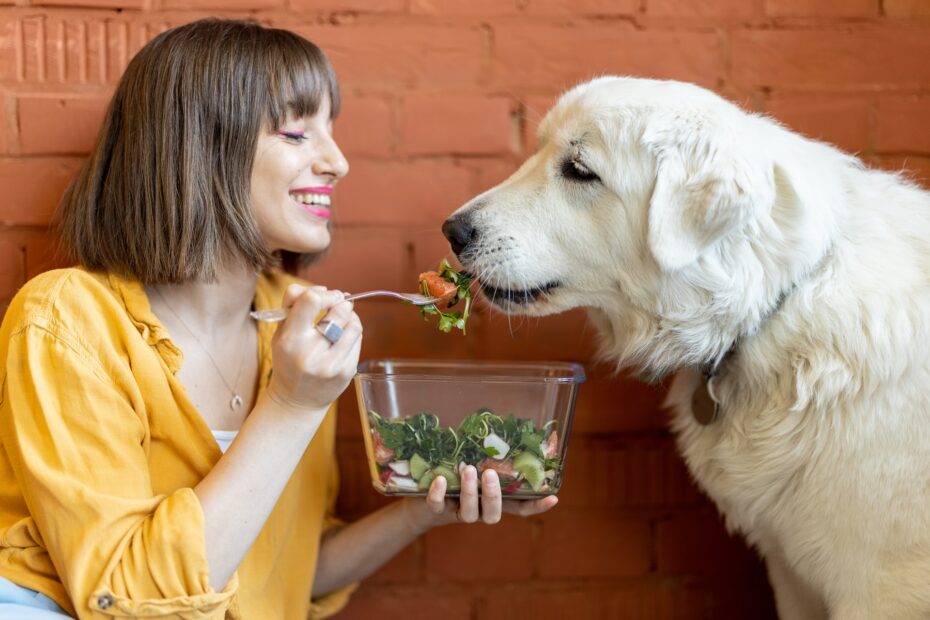 los perros pueden comer pescado