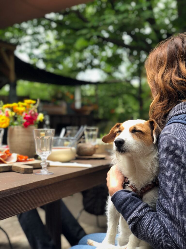 restaurantes pet friendly en la roma