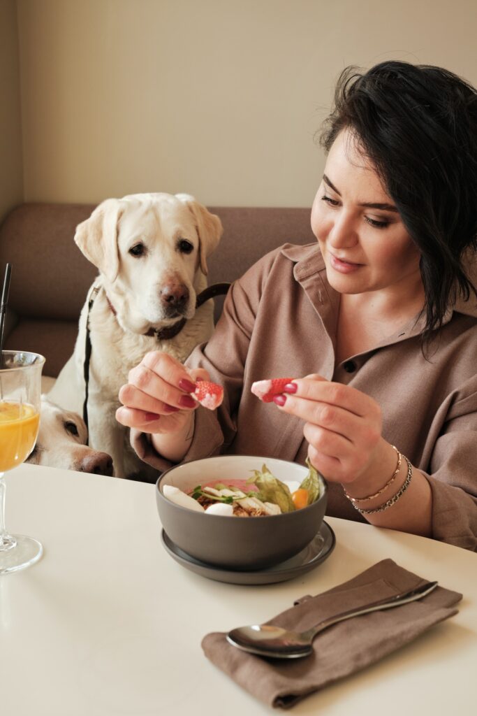 los perros pueden
  comer durazno