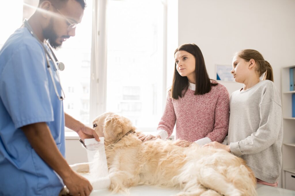 microdacyn para perros