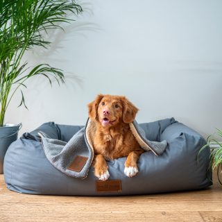 camas para perros amazon